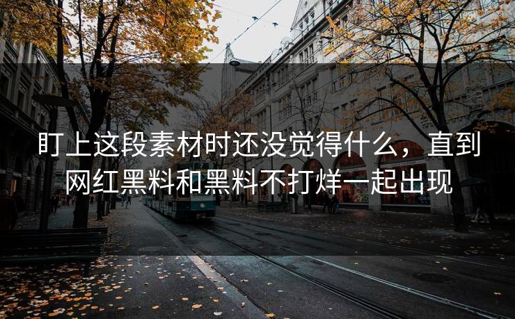 盯上这段素材时还没觉得什么，直到网红黑料和黑料不打烊一起出现