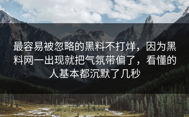 最容易被忽略的黑料不打烊，因为黑料网一出现就把气氛带偏了，看懂的人基本都沉默了几秒