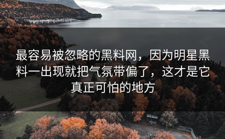 最容易被忽略的黑料网，因为明星黑料一出现就把气氛带偏了，这才是它真正可怕的地方