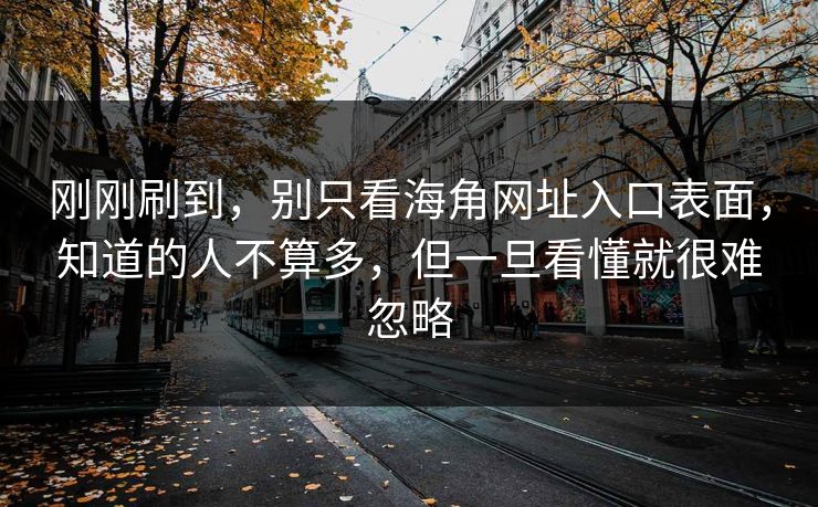刚刚刷到，别只看海角网址入口表面，知道的人不算多，但一旦看懂就很难忽略