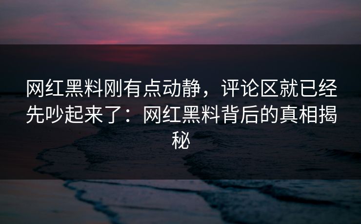网红黑料刚有点动静，评论区就已经先吵起来了：网红黑料背后的真相揭秘
