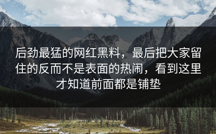 后劲最猛的网红黑料，最后把大家留住的反而不是表面的热闹，看到这里才知道前面都是铺垫
