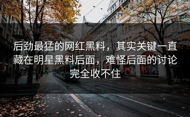 后劲最猛的网红黑料，其实关键一直藏在明星黑料后面，难怪后面的讨论完全收不住