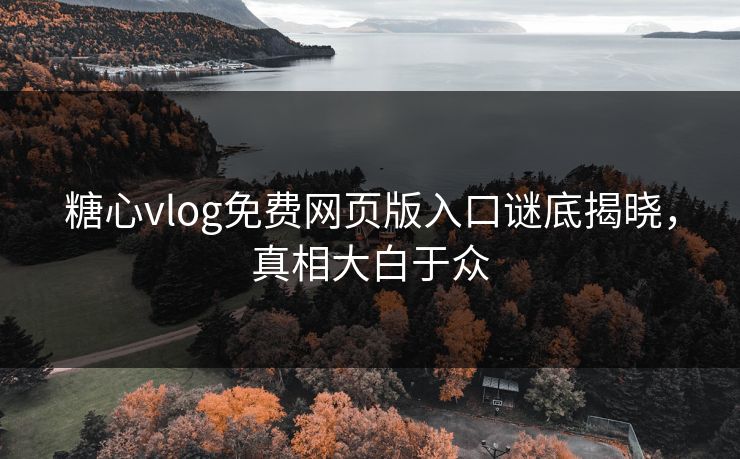 糖心vlog免费网页版入口谜底揭晓，真相大白于众