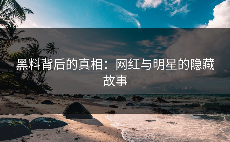 黑料背后的真相：网红与明星的隐藏故事