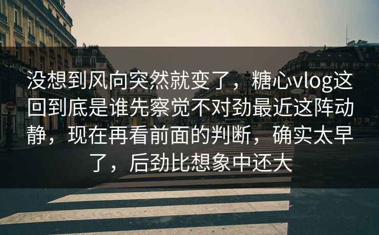 没想到风向突然就变了，糖心vlog这回到底是谁先察觉不对劲最近这阵动静，现在再看前面的判断，确实太早了，后劲比想象中还大