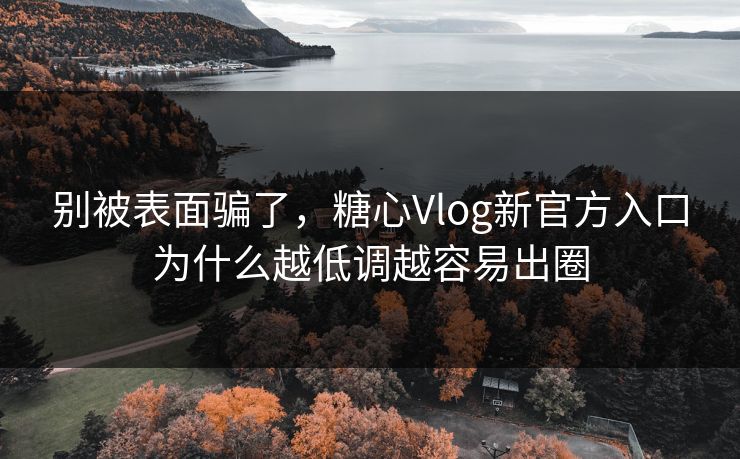 别被表面骗了，糖心Vlog新官方入口为什么越低调越容易出圈